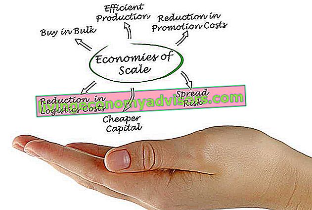 Economies of Scale Theme Finance