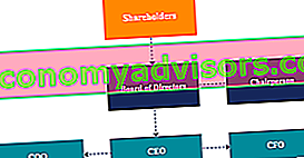 Organigram voor de CEO, het bestuur en de aandeelhouders