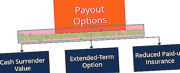 Clause de non-déchéance - Options de paiement
