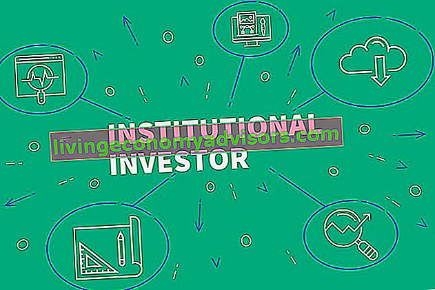 Investitore istituzionale