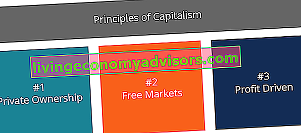 Capitalisme - 3 principes du capitalisme