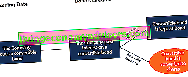 Vanilla Convertible Bond