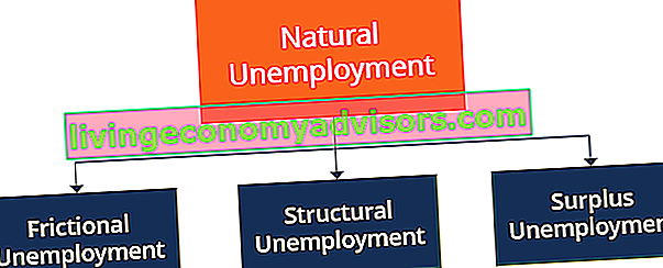 Disoccupazione naturale - Componenti