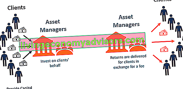 Sociedad de gestión de activos (AMC)