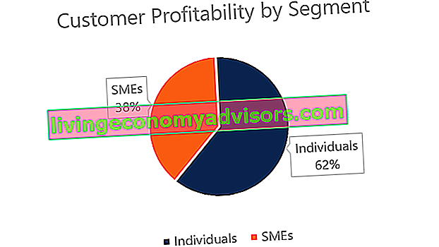 Grafico della redditività del cliente per segmento