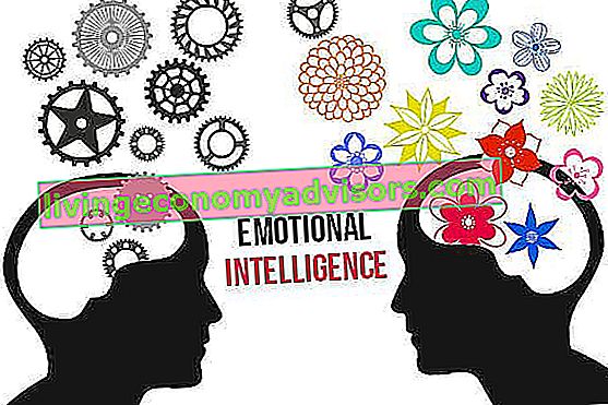 Quoziente di intelligenza emotiva (EQ)