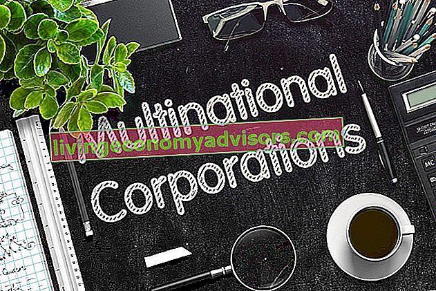 Multinationales Unternehmen