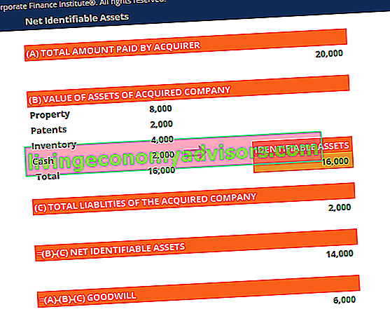 Captura de pantalla de la plantilla de activos identificables netos