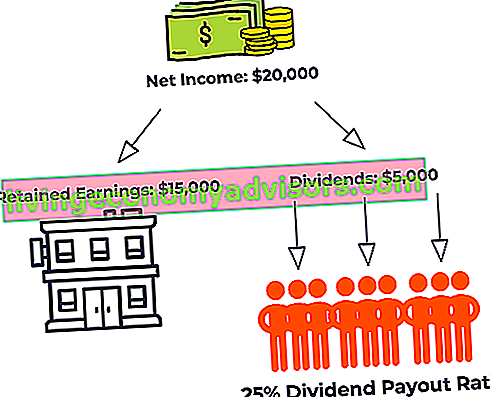 Diagramma del rapporto di pagamento dei dividendi