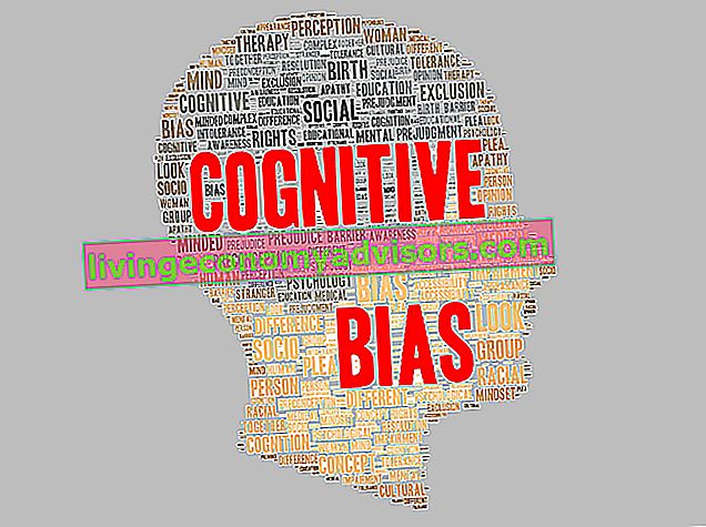 Cognitive Bias-Thema