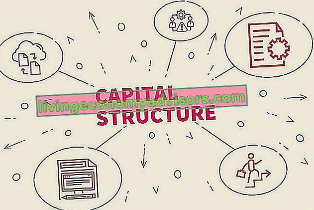Estructura de capital simple