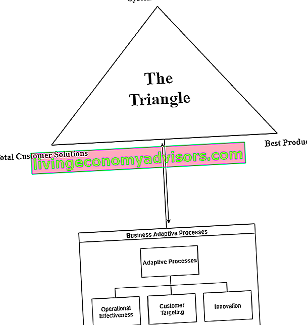 Modelo Delta de Hax: el triángulo
