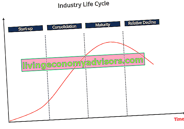 Negatieve groei - Levenscyclus van de industrie