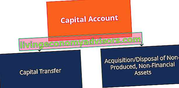 Sous-comptes du compte de capital