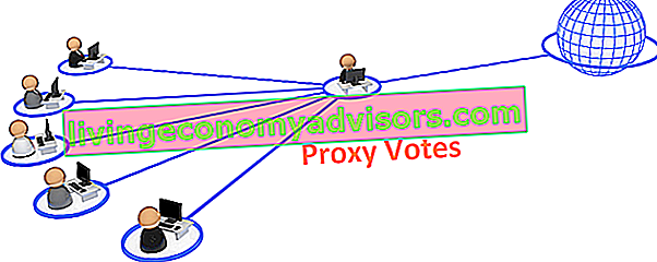 Proxy Vote