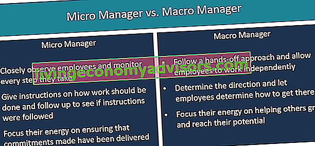 Micro Manager vs Macro Manager
