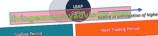 Diagrama de opciones de LEAP rodante