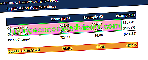 Captura de pantalla de la calculadora de rendimiento de ganancias de capital