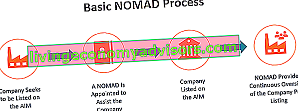 Asesor designado - Proceso básico de NOMAD