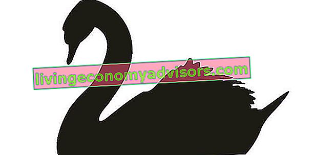 Black Swan Event tema - svarta svanar