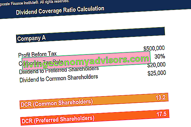 Capture d'écran du modèle de ratio de couverture des dividendes