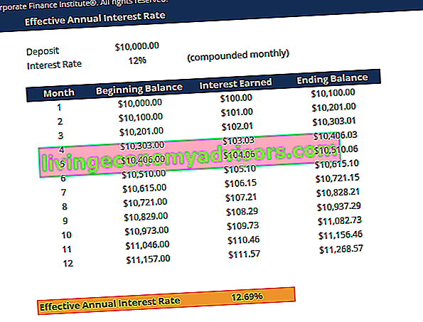 Screenshot effettivo del calcolatore del tasso di interesse annuale