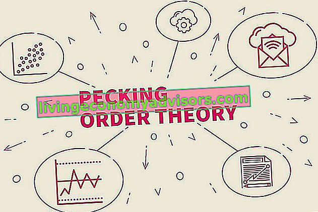 Pecking Order Theory