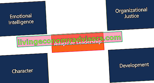 Quatre grands principes du leadership adaptatif