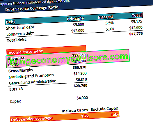 Zrzut ekranu z szablonu wskaźnika pokrycia obsługi zadłużenia