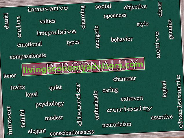 Skriv en personlighet