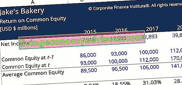 Return on Common Equity Answer