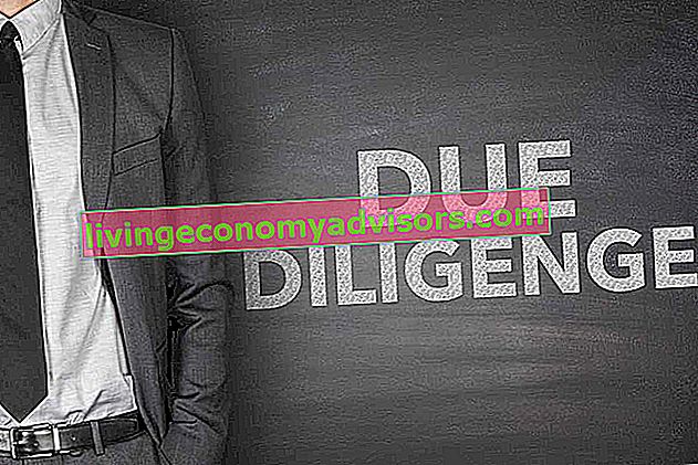due diligence-rapport